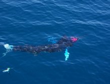 Lit up for the release