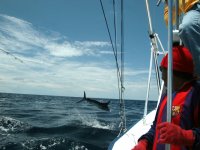 San Cristobal, Galapagos Islands