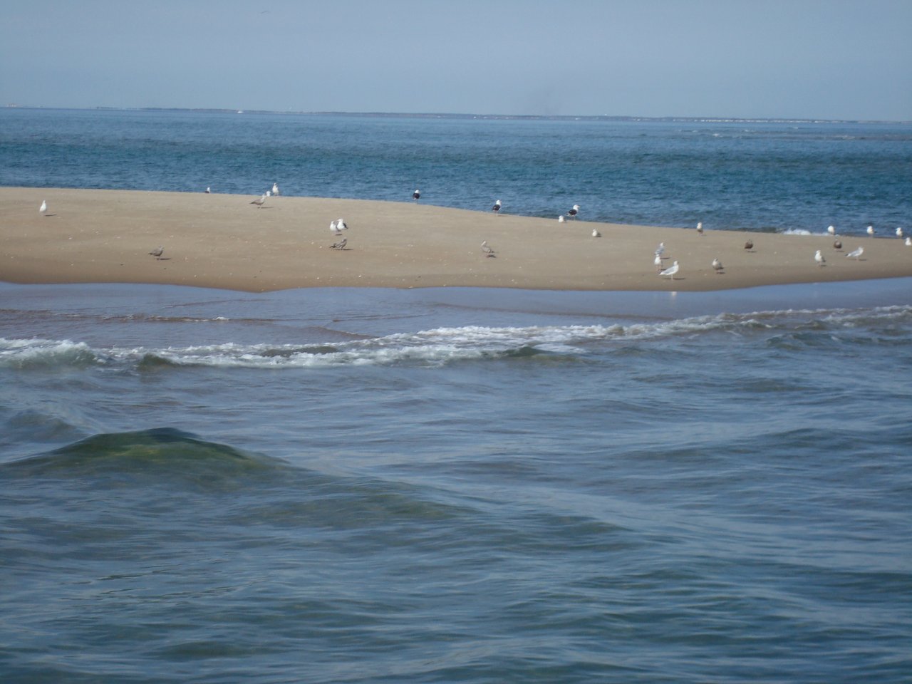 Sandbar in the Indian River
