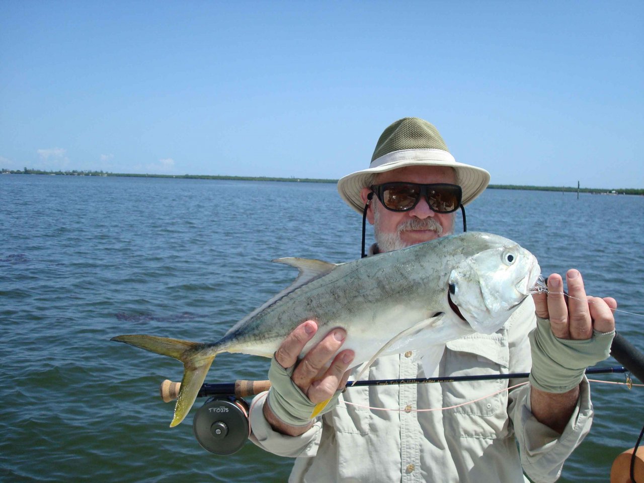 Jack Crevalle