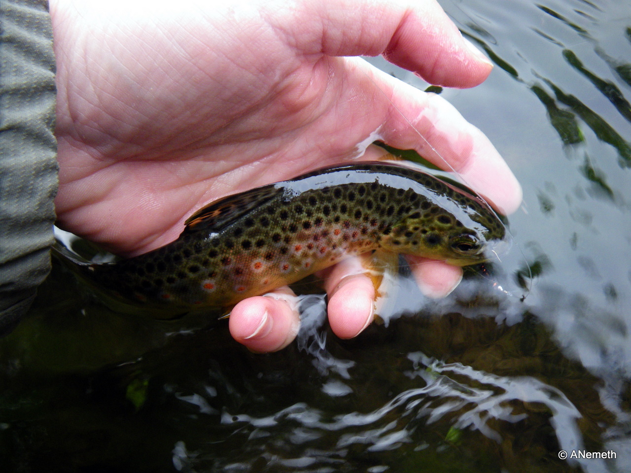 Curled up and feeling comfy