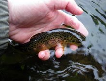 Curled up and feeling comfy