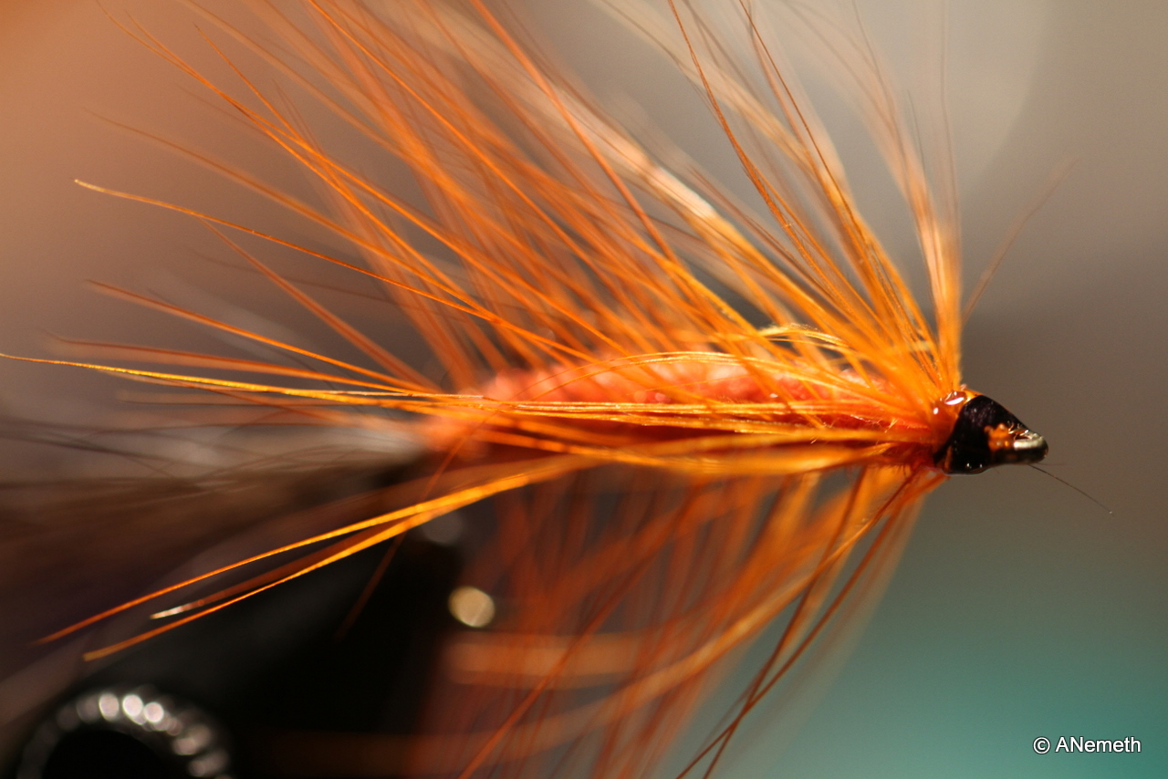 Orange shadow soft hackle