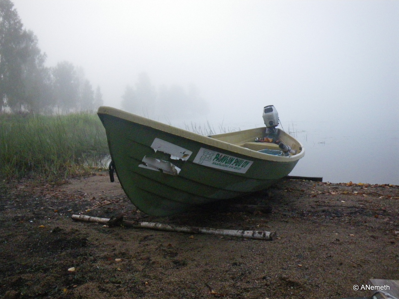 Early bird catches the ...