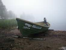 Early bird catches the ...