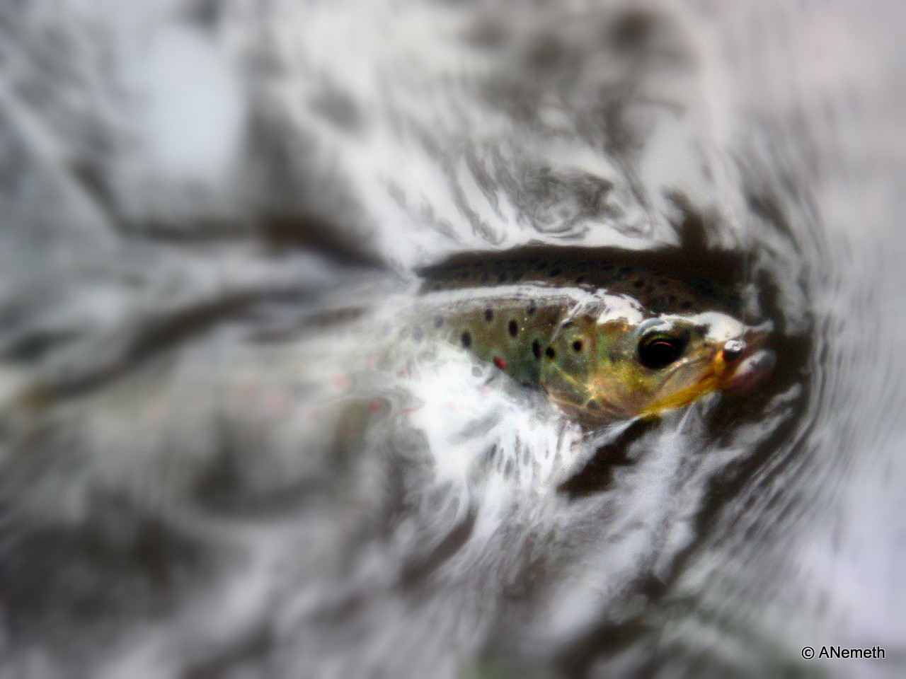 Just a short peek and you'll be back