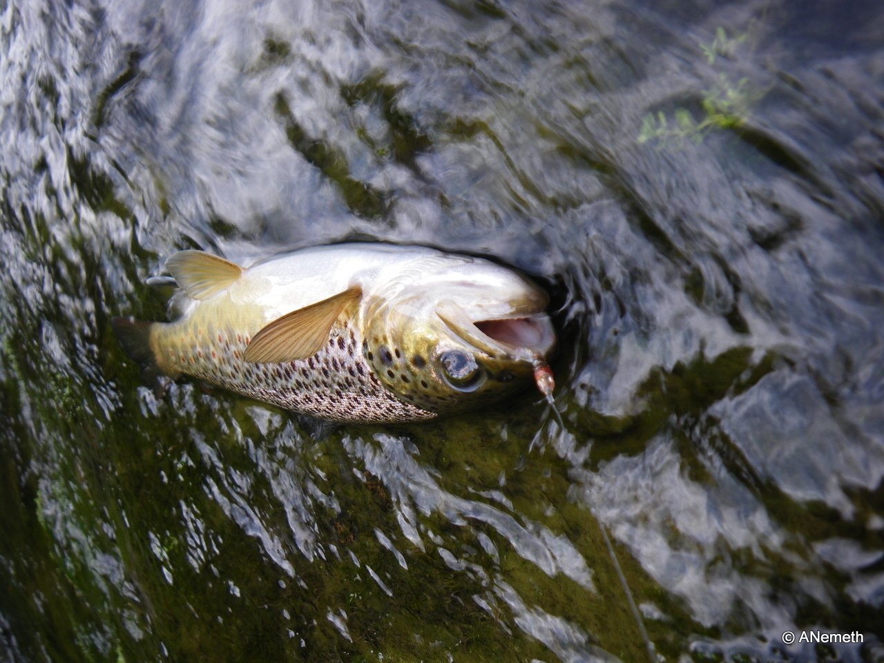 Just take your time beauty :)