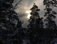 Rare occasion of seeing winter sun