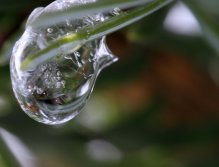 Frozen dropplet reflection