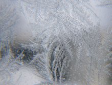 Mother nature's winter wonder