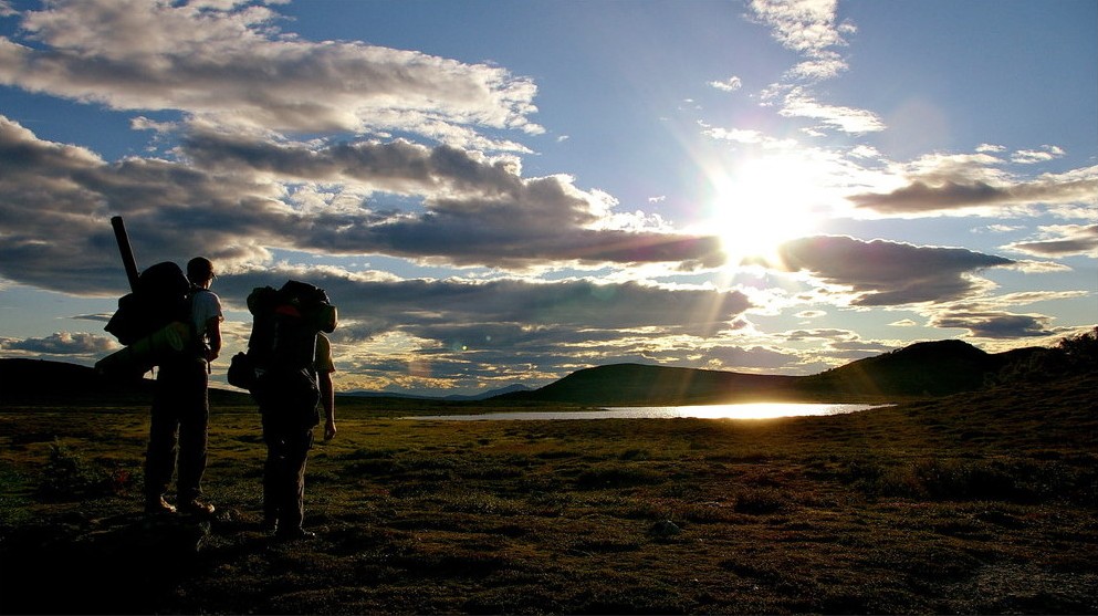 Step into the evening