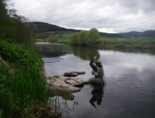 Moments after the strike, a big trout makes a bid for freedom