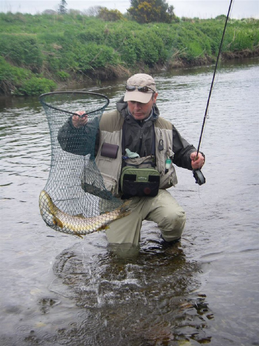 A huge trout safely in the net
