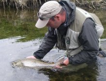 Carefully returned to fight another day