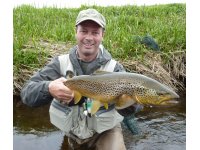 In Pursuit of Giants