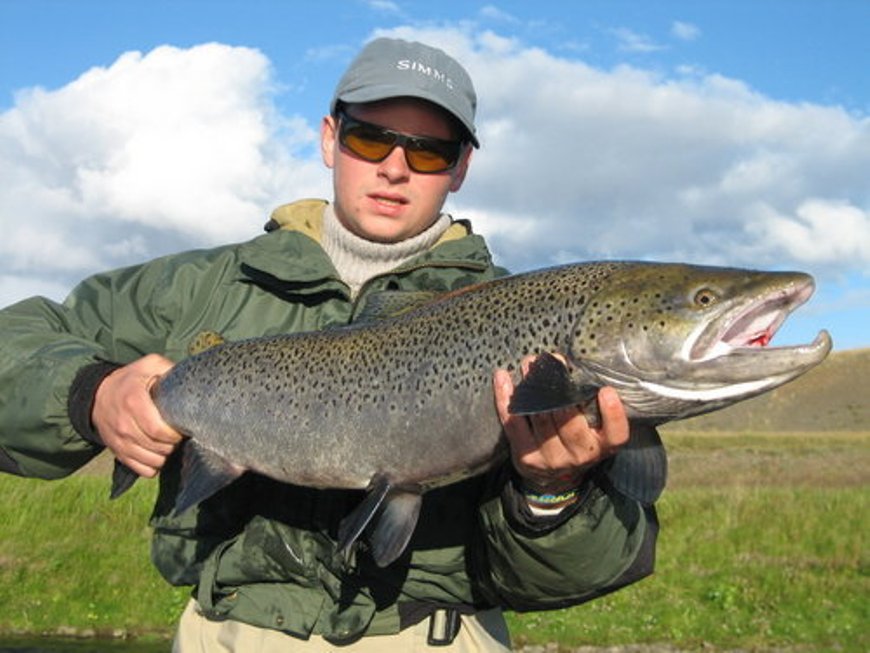 The biggest sea trout of 2008 caught in the Laxhylur pool
