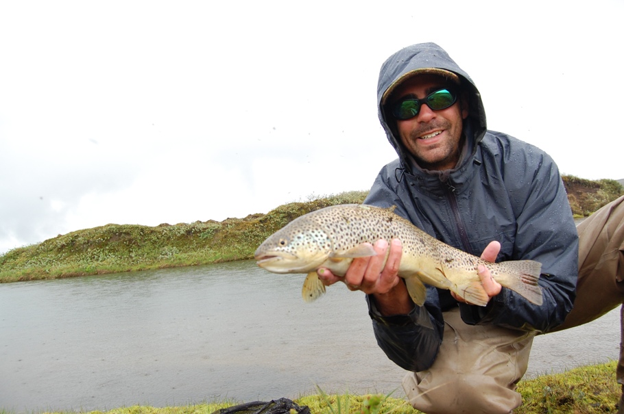 A nice specimen from the Svarta river in the north of Iceland
