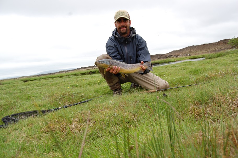 Notice the contrast between fields of lava and grassy meadows