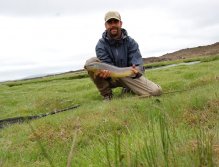 Notice the contrast between fields of lava and grassy meadows