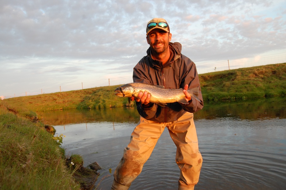 Brown trout on a streamer in Minnivallalaekur river in Iceland 
