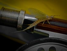 Mayfly & reel
