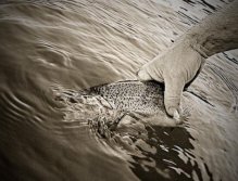 Back where you belong