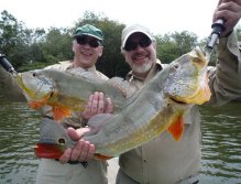 Sightfishing on the Agua Boa for Peacockbass