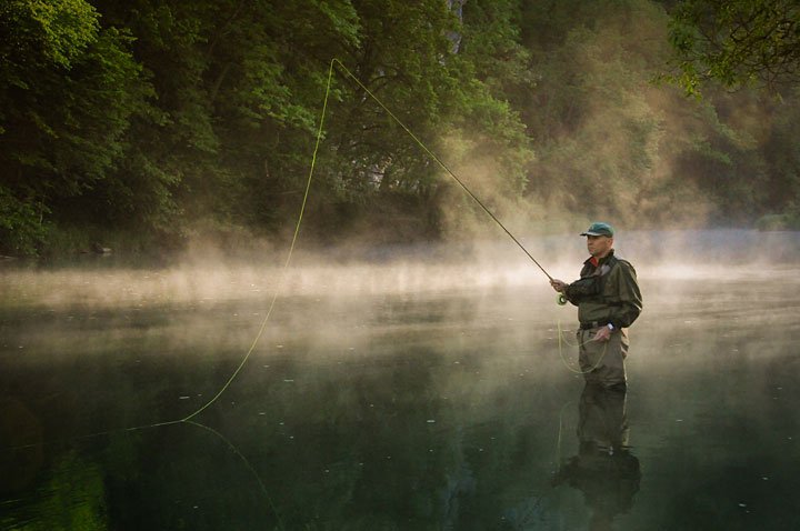 Donau in the Schwarzwald