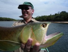 Aruana cought on a dryflie