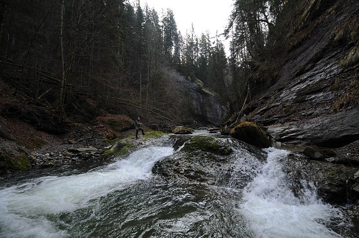Fishing my homeriver  in spring