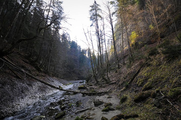 Early in the year for trouts