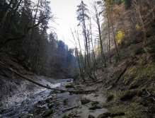 Early in the year for trouts