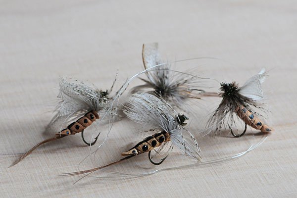 60 year old mayflies from Germany