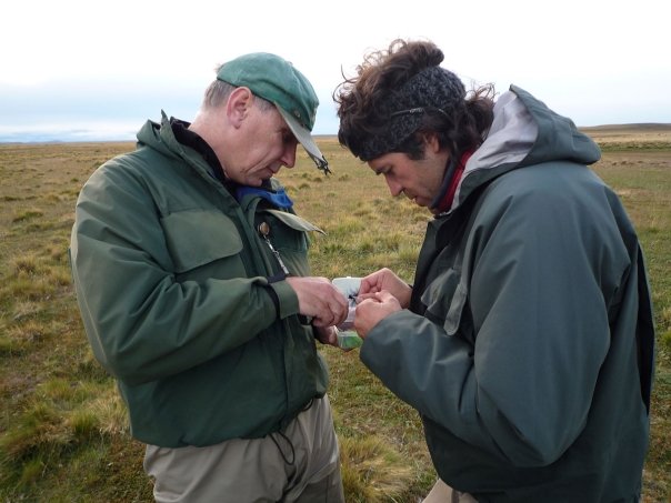 Choosing the right one