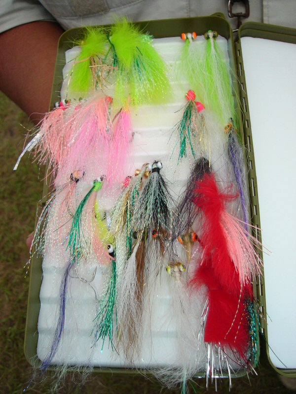 Flies for barramundi
