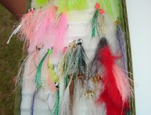 Flies for barramundi