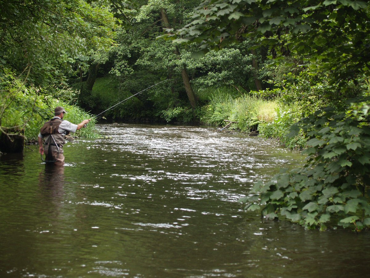 Upstream French Nymphing, stream in Derbyshire