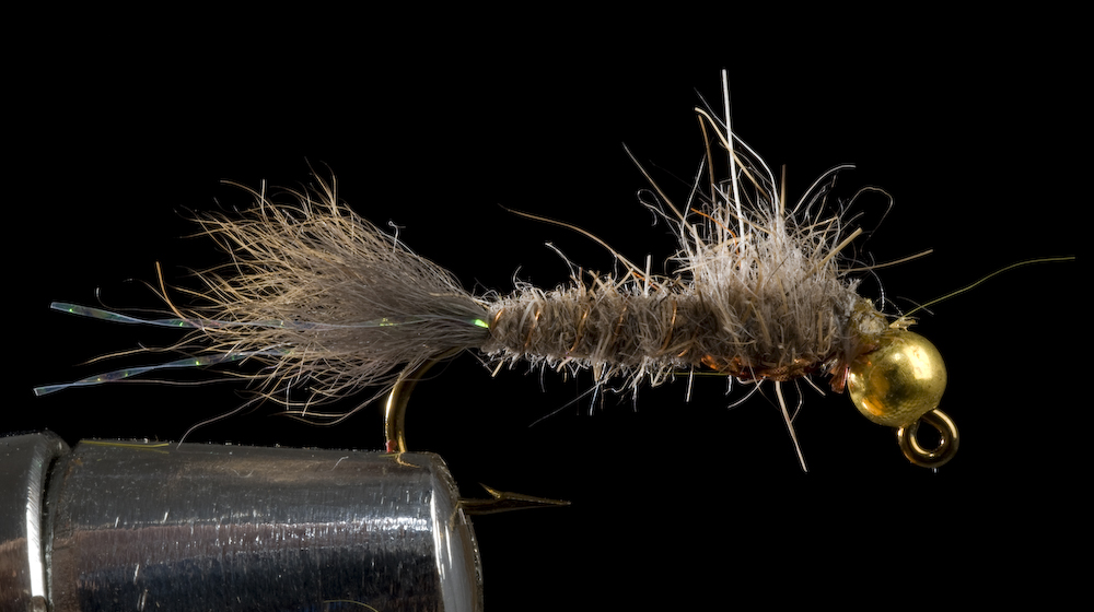 Flies for Aztec trout