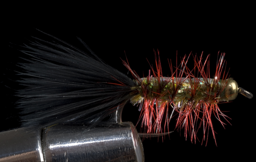 Flies for Aztec trout