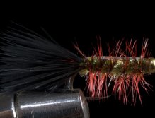 Flies for Aztec trout