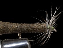Flies for Aztec trout