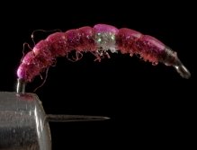 Flies for Aztec trout