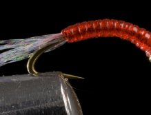 Flies for Aztec trout