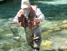 Grayling 40 cm from Baca river