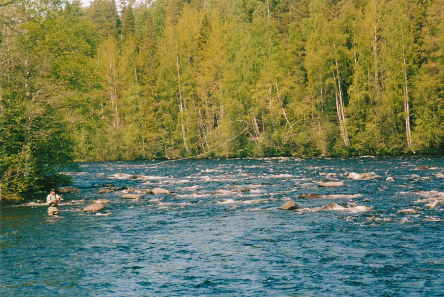 Byske, The Bend, Treholmsforsen, Sweden