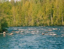 Byske, The Bend, Treholmsforsen, Sweden