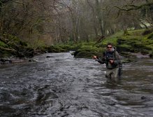 A fly fisherman fishing on the upper Usk