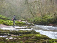 Fly fishing on the Upper Usk - large trout are presen