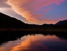 Step into the evening