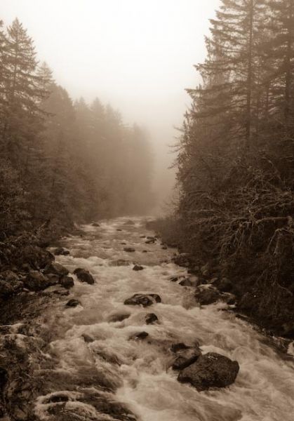 The east fork in Sepia